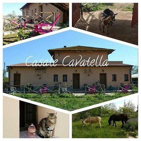 Casale Cavatella Bed & Breakfast แซร์โมเนตา ภายนอก รูปภาพ