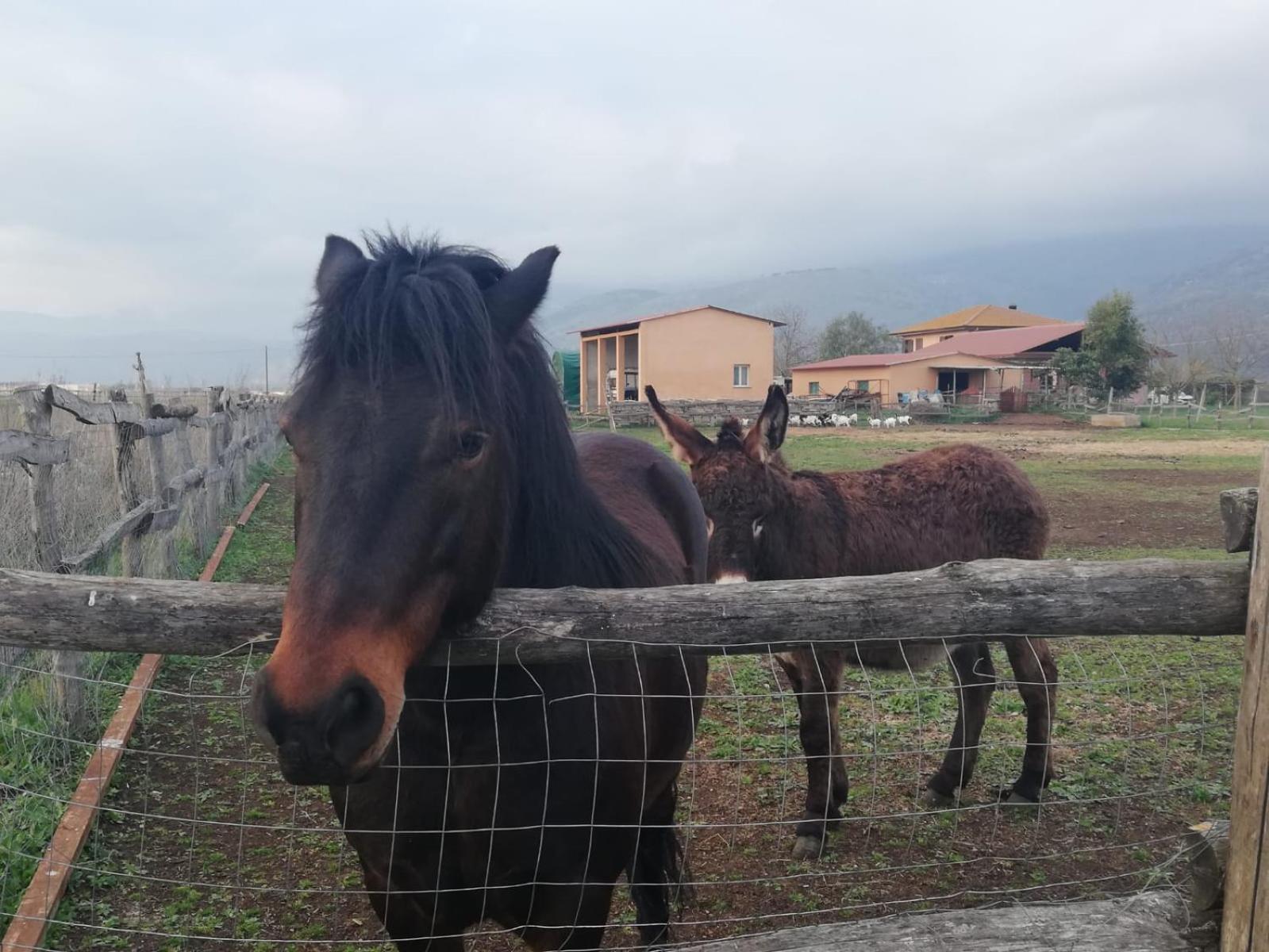 Casale Cavatella Bed & Breakfast แซร์โมเนตา ภายนอก รูปภาพ
